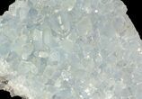 Double-Faced Celestine (Celestite) Crystal Cluster - Madagascar #45651-2